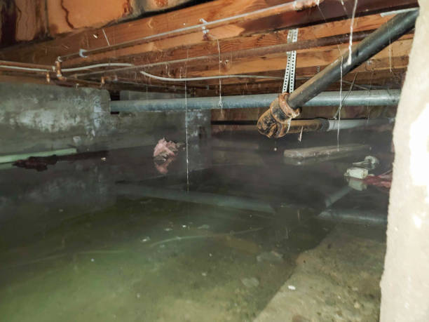 Best Water damage restoration near me  in Choctaw, OK