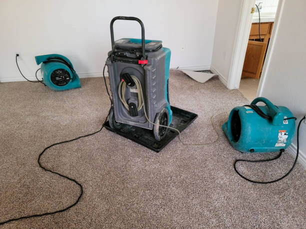 Best Local water damage restoration  in Choctaw, OK