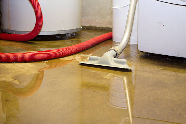 Best Ceiling water damage repair  in Choctaw, OK